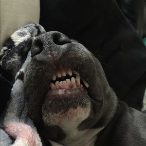 Meet your Posher, Francesca